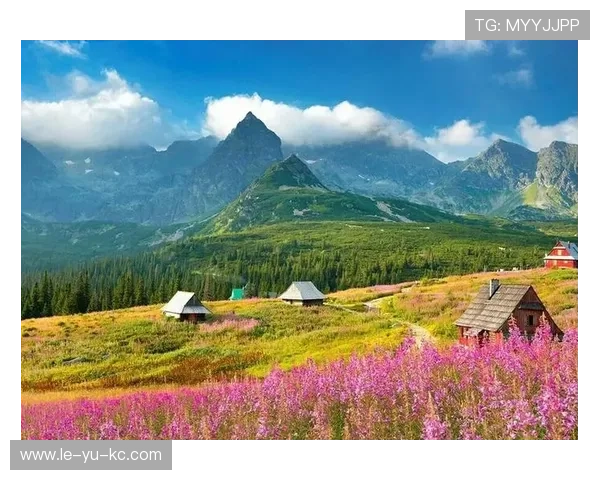 探索波兰东欧风格：独特的传统与现代融合之美